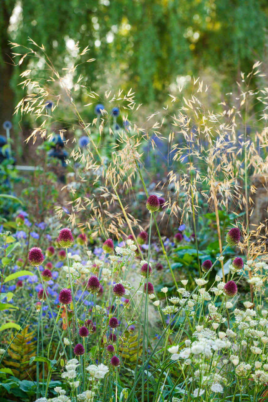 Cotswold Farm - Marcus Barnett Studio - Landscape Architecture - London