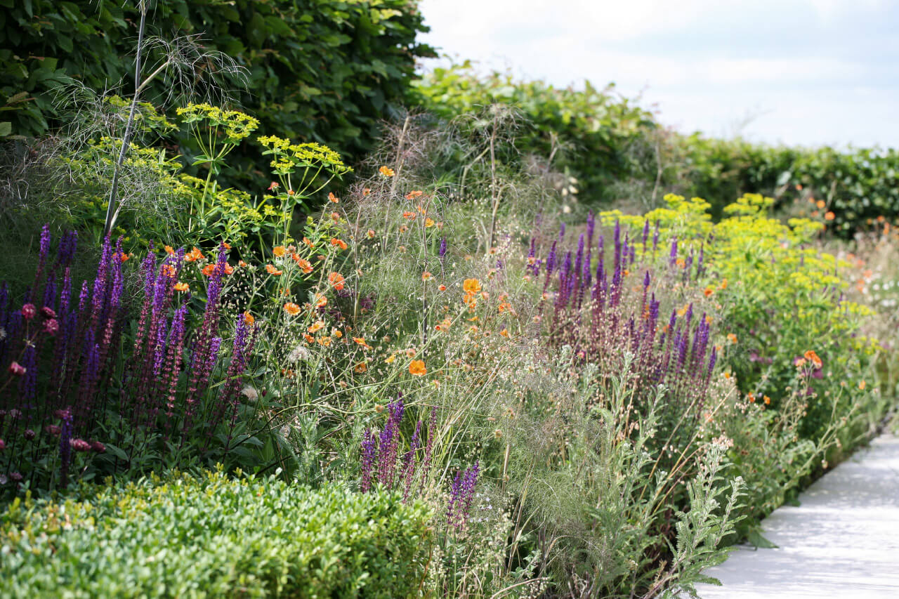 Fitzrovia - Marcus Barnett Studio - Landscape Architecture - London