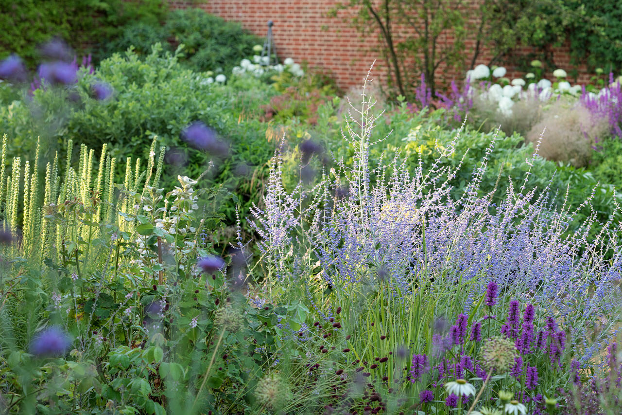 Hampshire Hall - Marcus Barnett Studio - Landscape Architecture - London